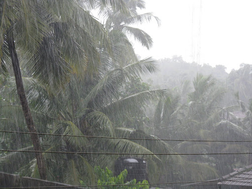 rain 1